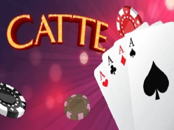 What kind of card is Catte?