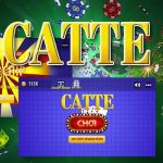 Things to know about how to play catte