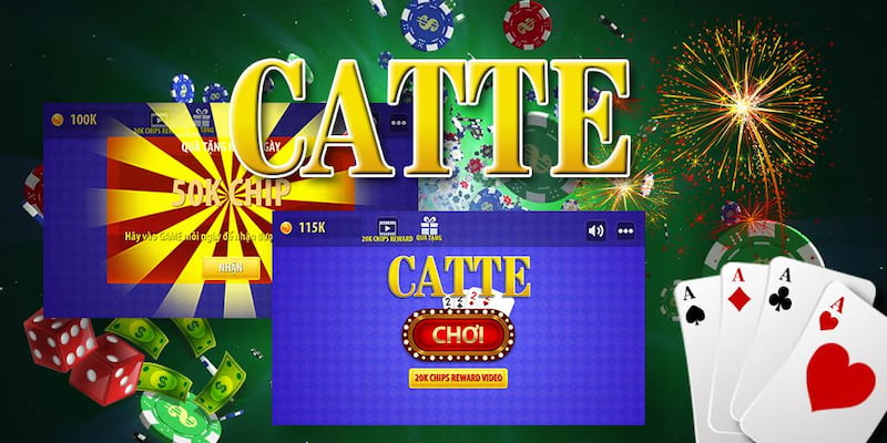 Things to know about how to play catte